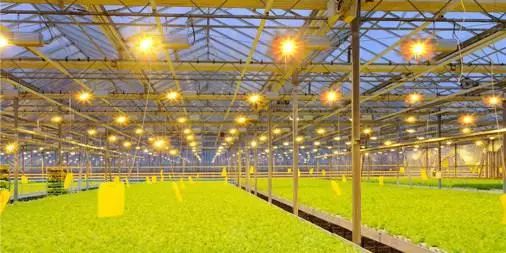 我国农业科技创新专利众多，为何技术落地推广之路依旧艰难？